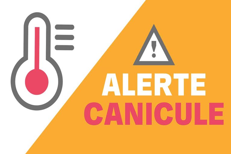 alerte canicule