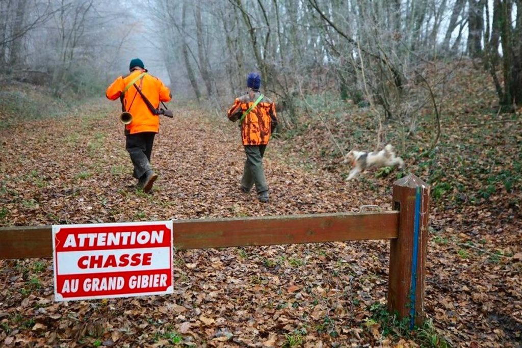 calendrier chasse aisne