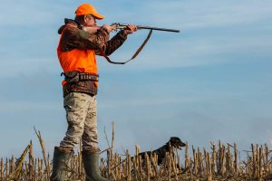 chasseur randonneur gilet orange