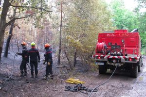 feu de foret mortefontaine