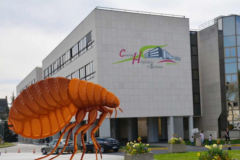 puces hopital soissons