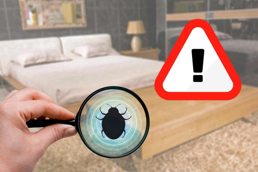 alerte punaise de lit beauvais