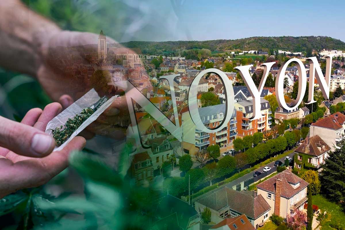 Un point de vente de cannabis démantelé lors d'une opération de contrôle à Noyonv