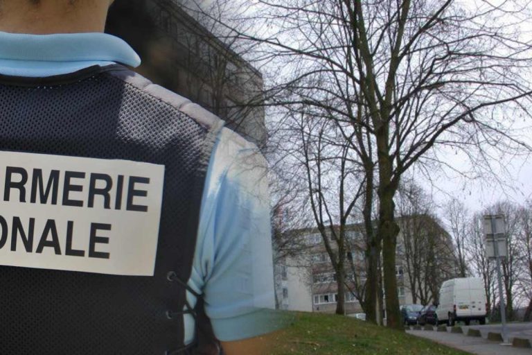 un gendarme mordu oise