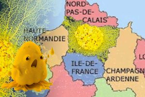 picardie envahie par un blob