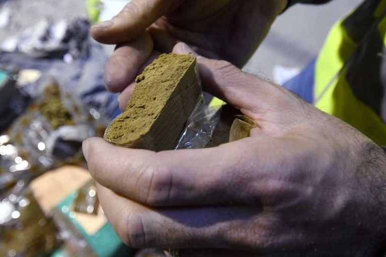saisie cannabis police