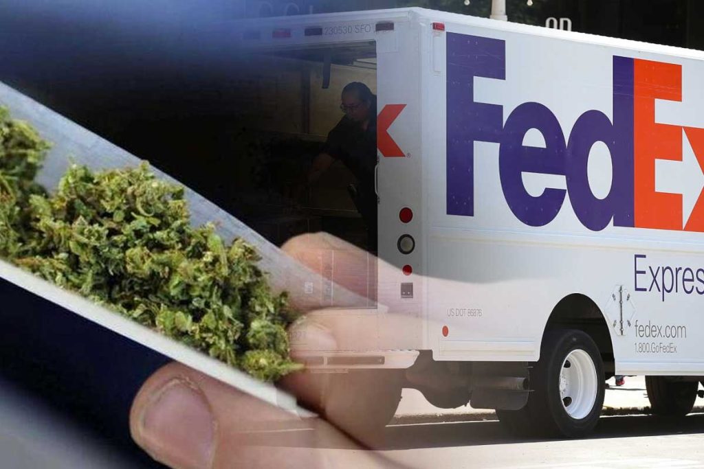 trafic de cannabis fedex