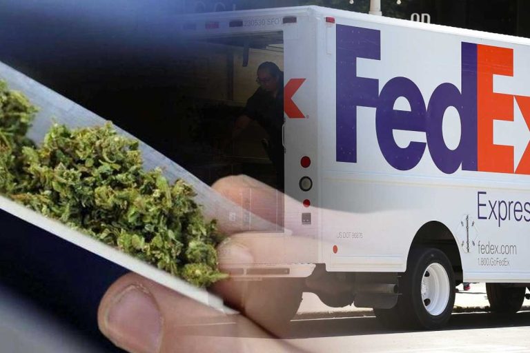 trafic de cannabis fedex