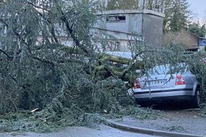 chute arbre bohain en vermandois