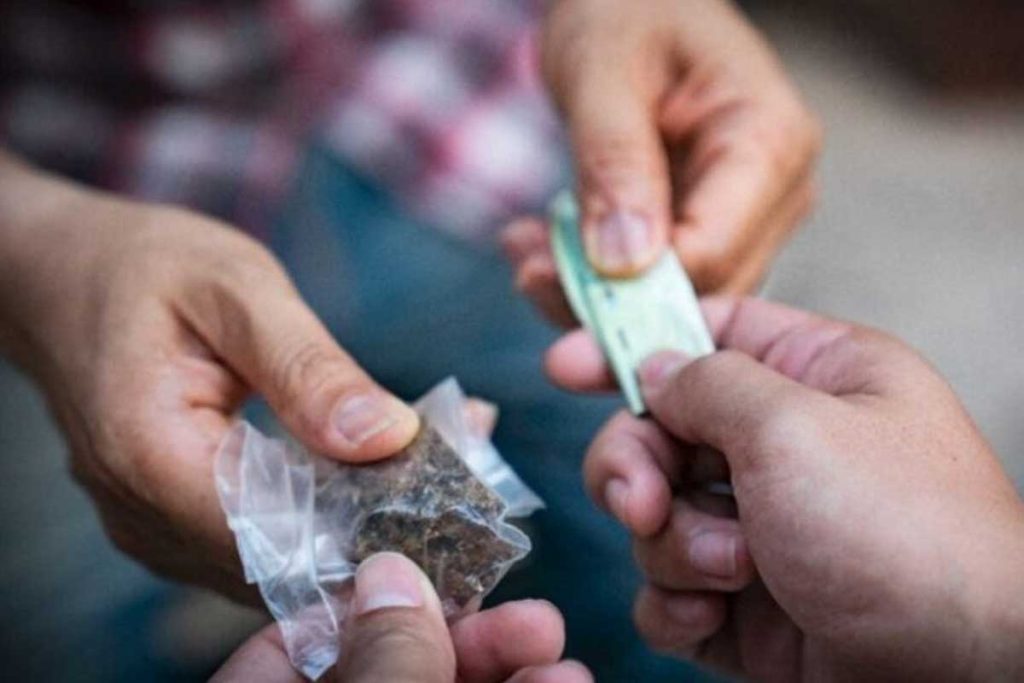dealer