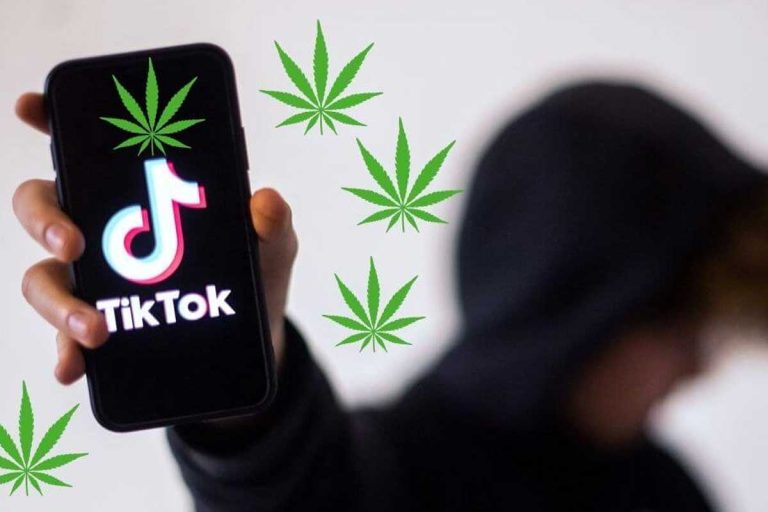 caliweed tiktok