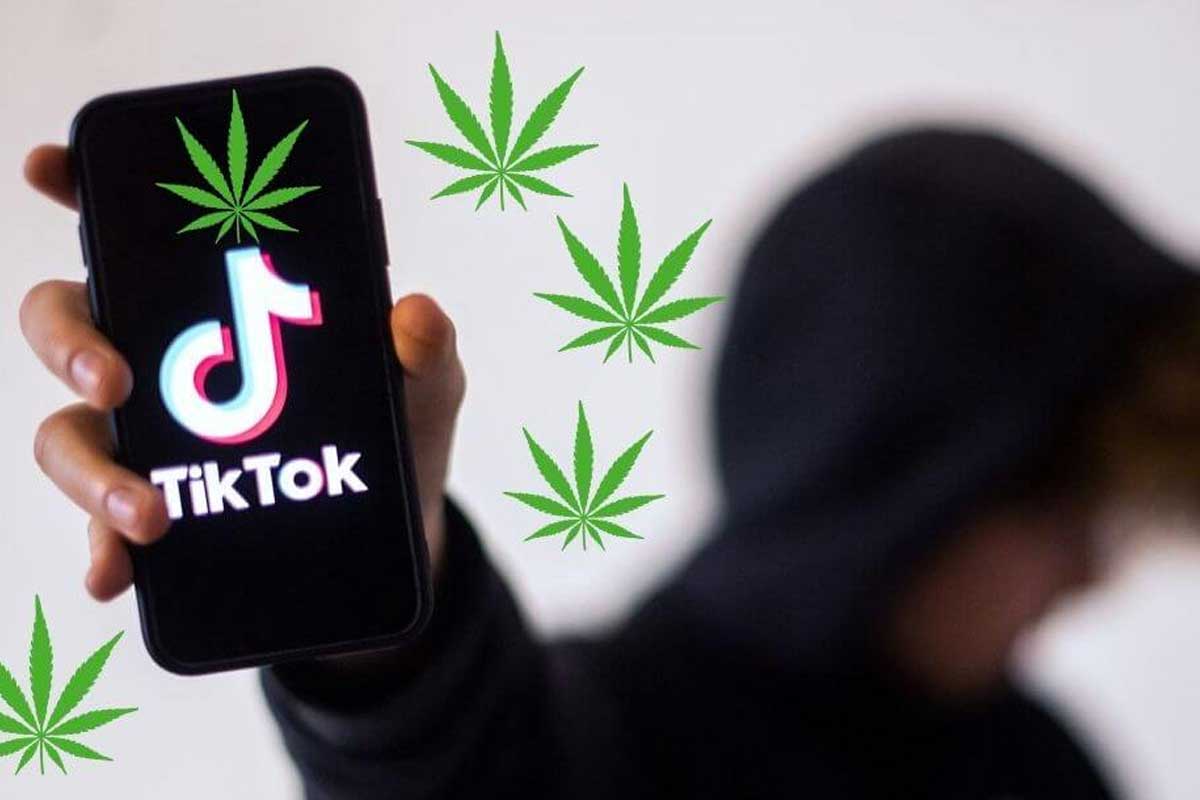 caliweed tiktok