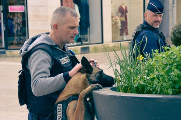 chien policier amiens