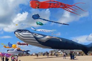 festival cerfs volants cayeux sur mer