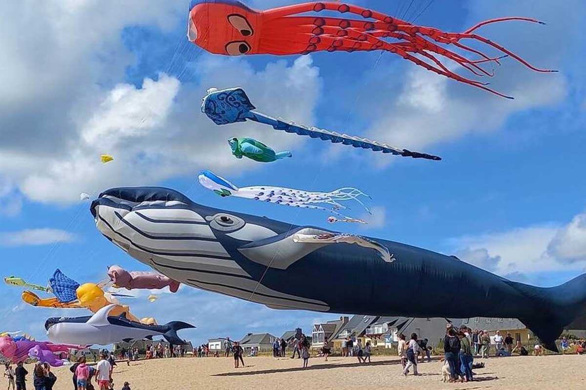 festival cerfs volants cayeux sur mer