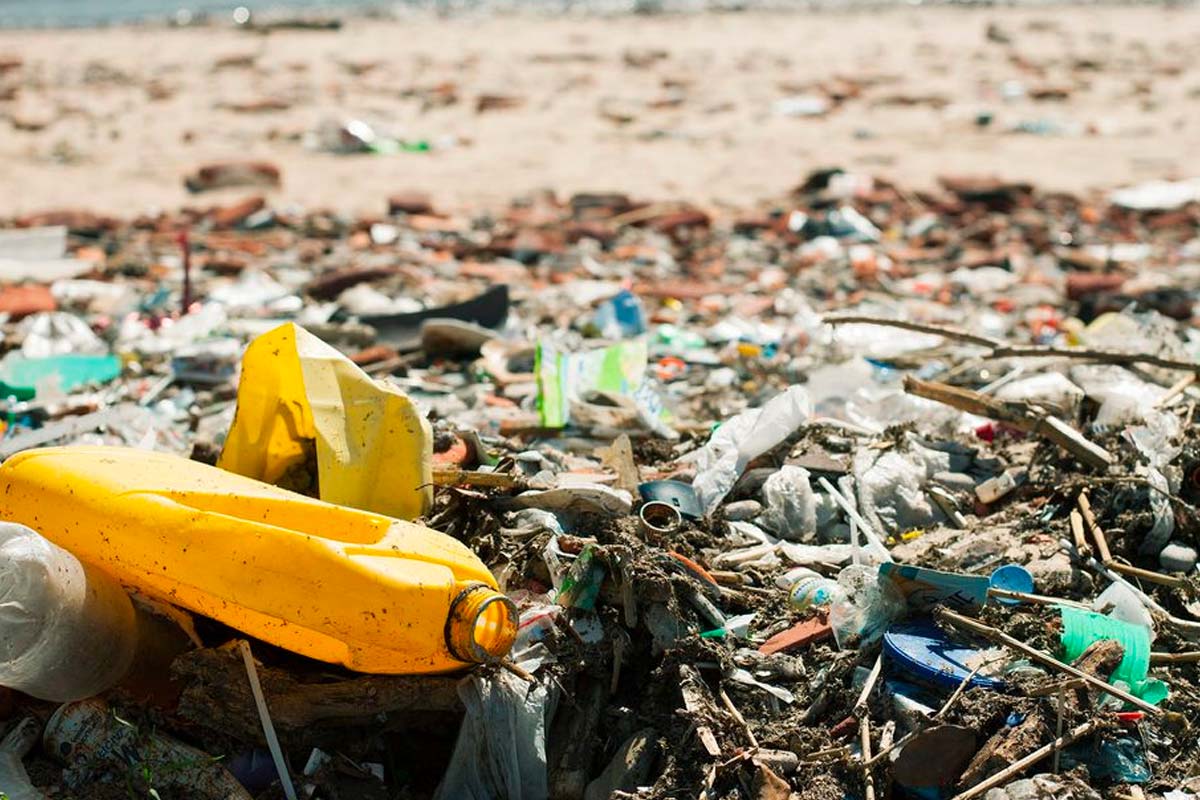 plastique baie de somme