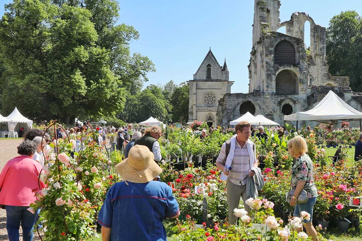 journees de la rose