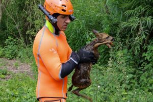 pompiers sauvetage faon oise