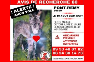 avis recherche ane pont remy