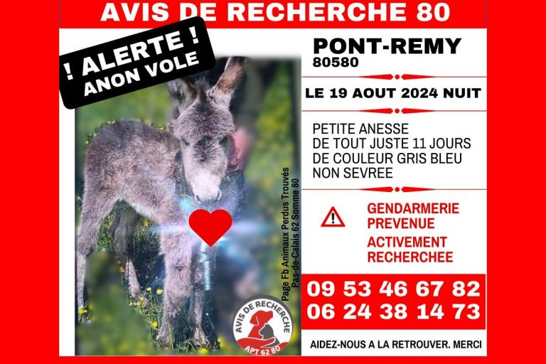 avis recherche ane pont remy
