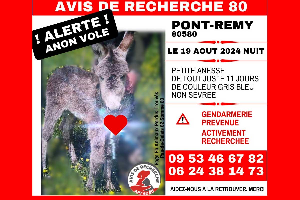 avis recherche ane pont remy