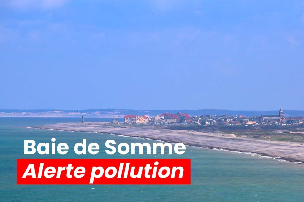 baie de somme alerte pollution
