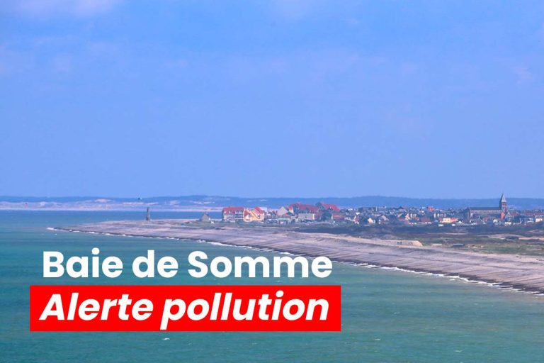 baie de somme alerte pollution