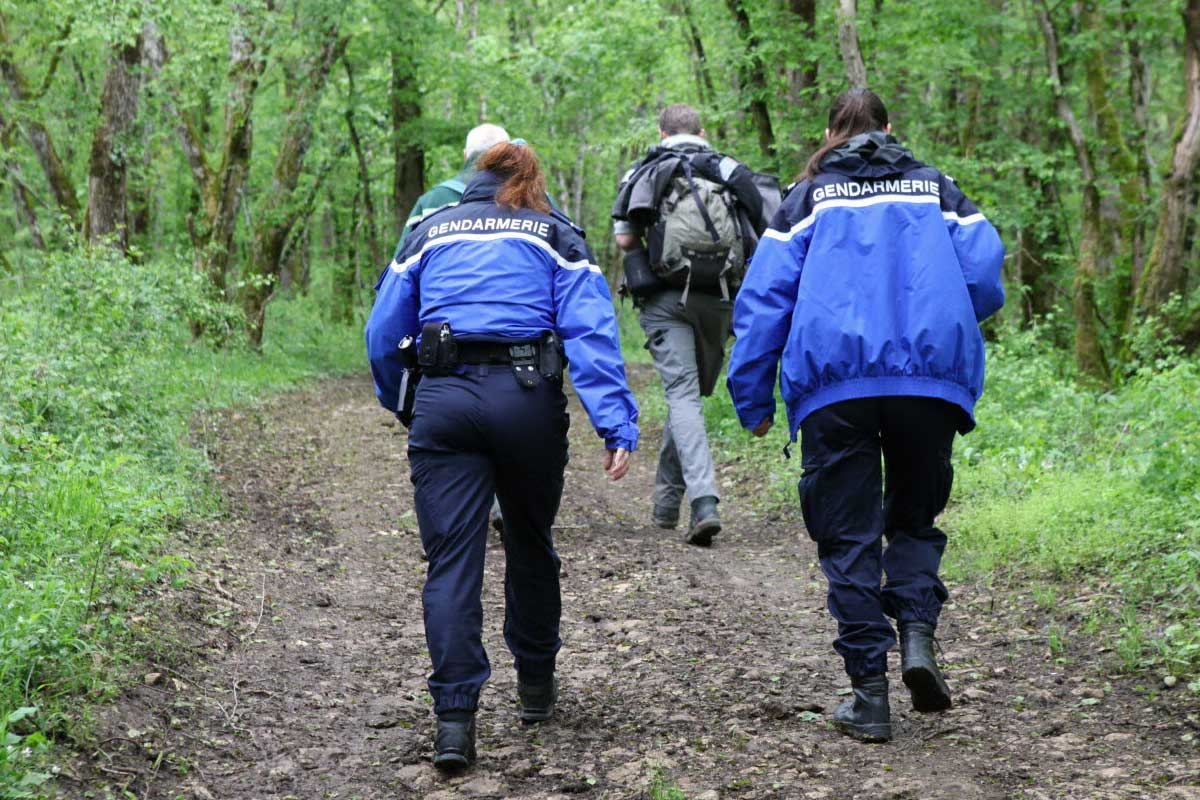 gendarmerie foret