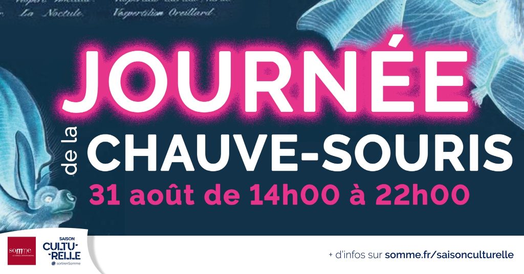 journee chauve souris abbaye saint riquier