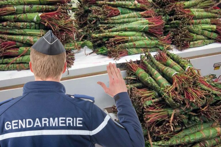 saisie khat picardie