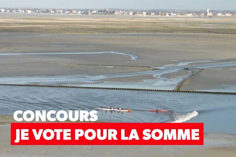 concours d or somme