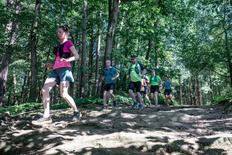 trail foret