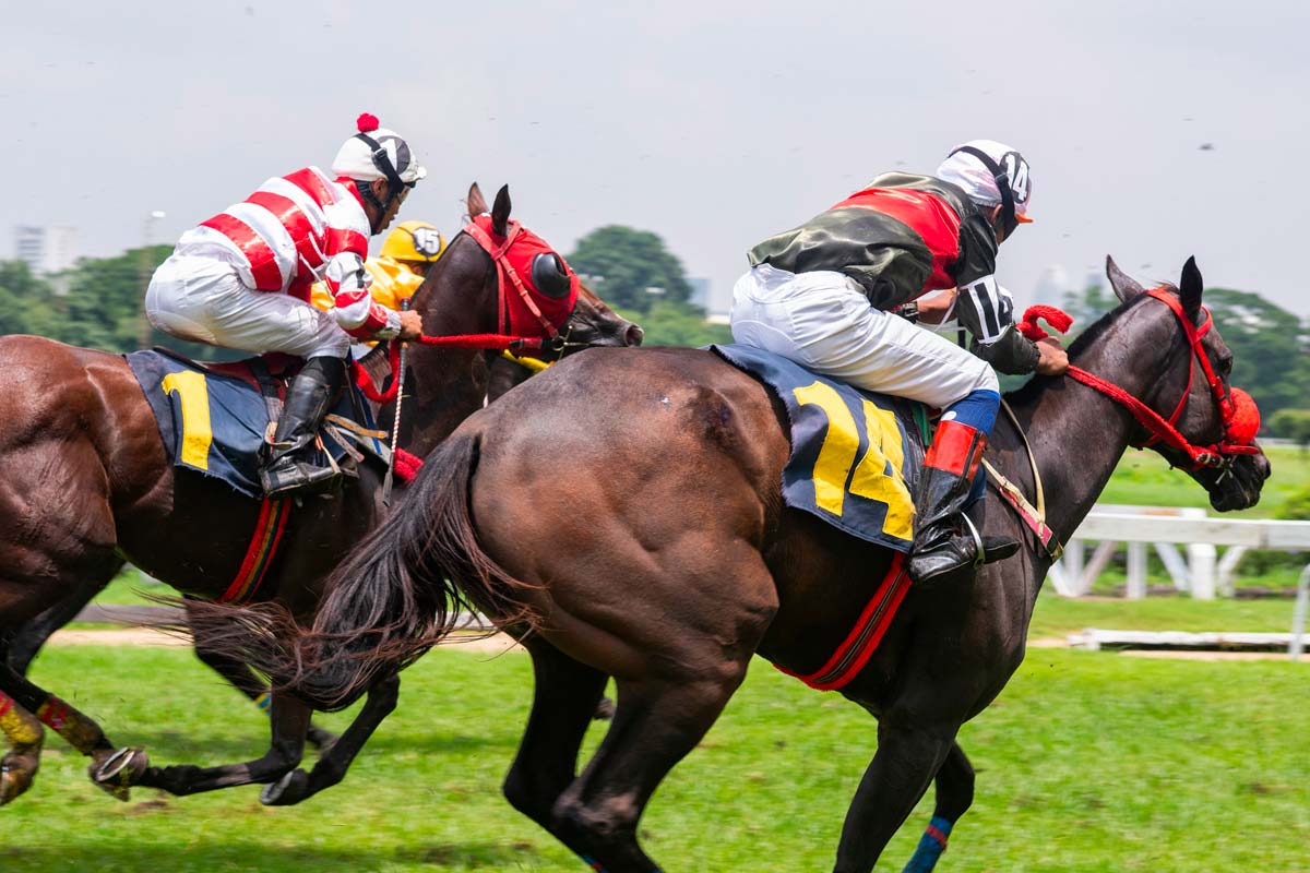 jockey