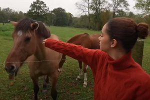 lena situation picardie