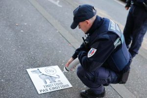 brigade crotte de chien