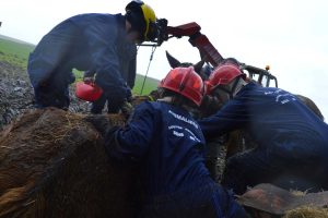 Sauvetage spectaculaire d’un cheval par les pompiers de l’Aisne