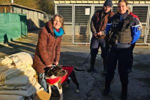 initiative solidaire a hirson pour les animaux