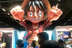 jap aisne expo soissons