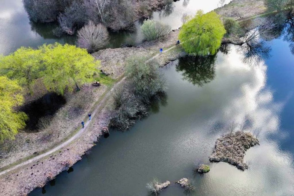 marais des cavins travaux