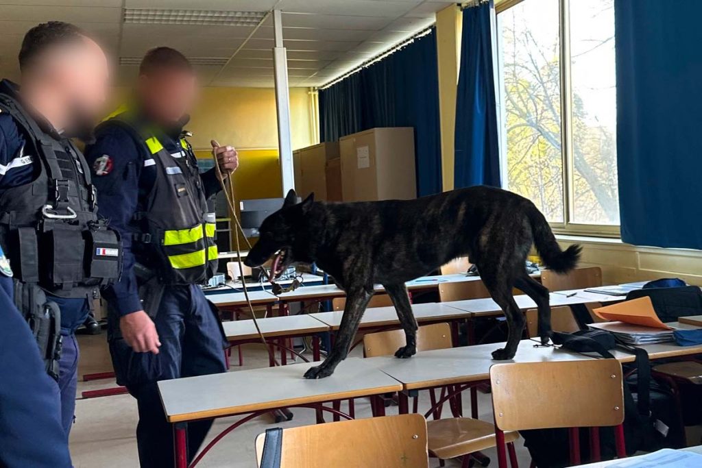chien gendarmerie stupefiant
