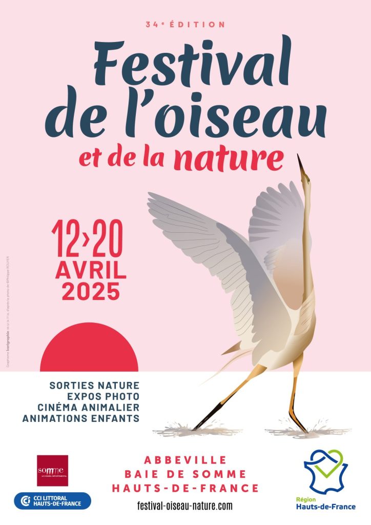 festival de l oiseau et de la nature