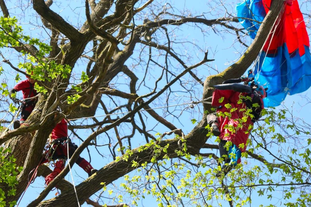 parapentiste accroche dans un arbre