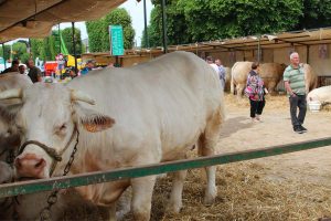 festival de agriculture de picardie maritime