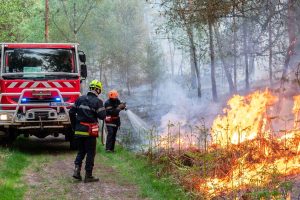 feu foret fontaine chaaslis