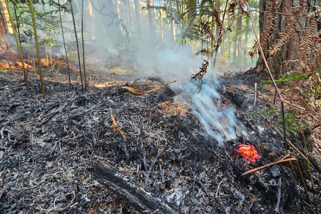 feu foret saint germain la poterie