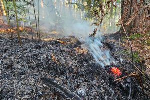 feu foret saint germain la poterie