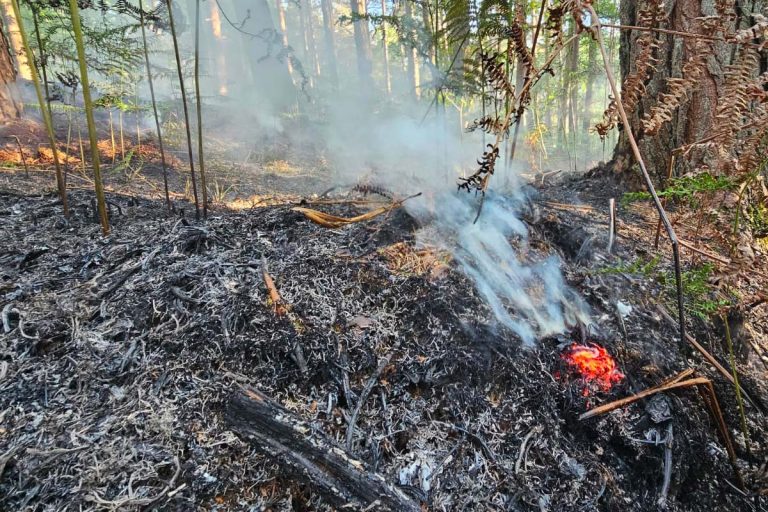 feu foret saint germain la poterie