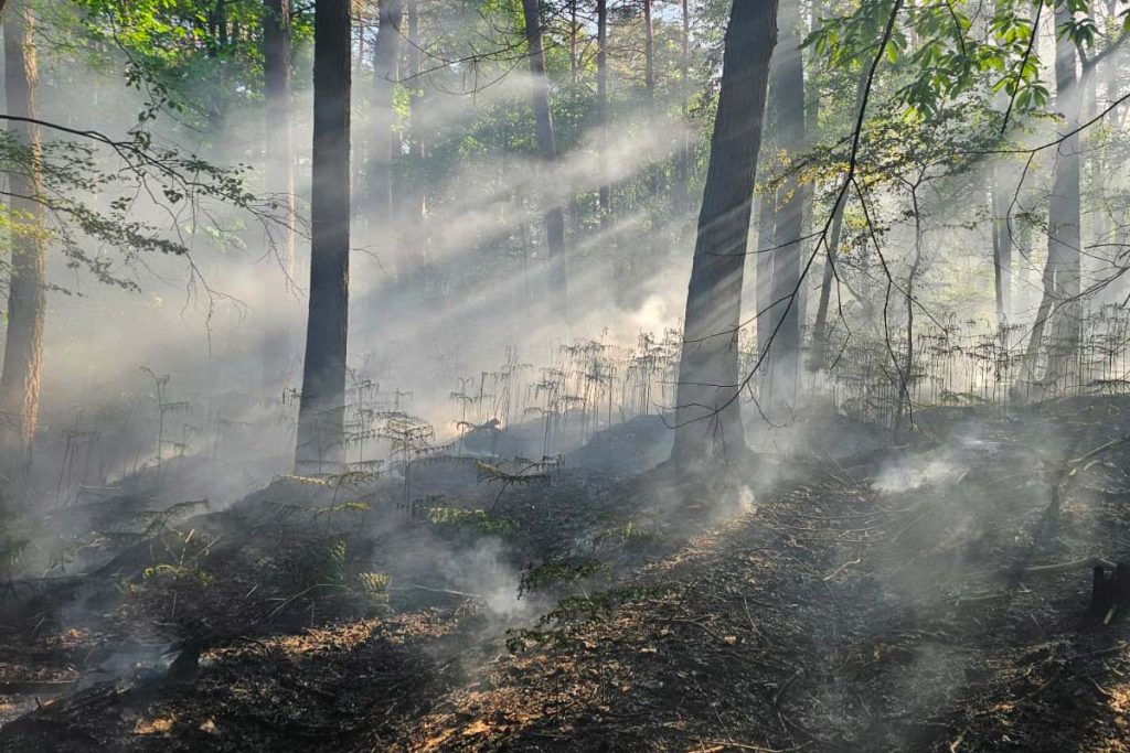 incendie foret saint germain la poterie