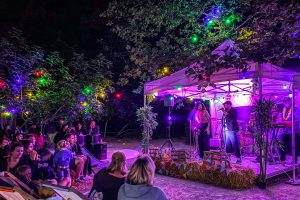 soiree ete zoo amiens