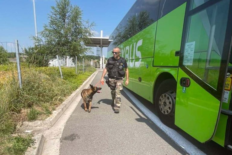 themis chien anti drogue gendarmerie aisne